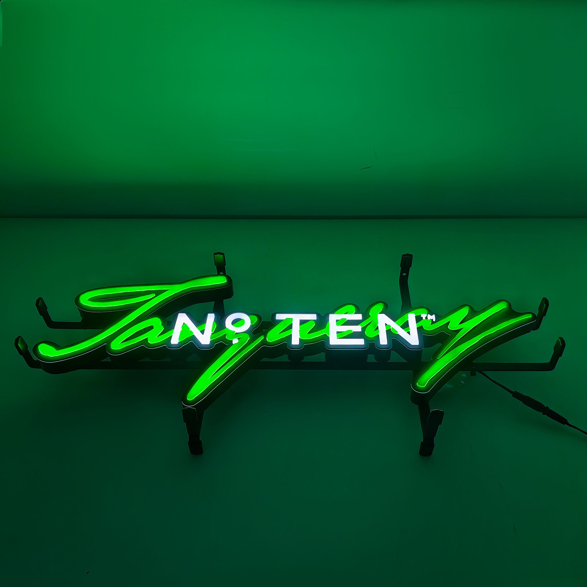 Faux Neon LED Signs (Custom Made)